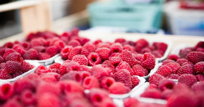 Étude de marché et localisation de l’offre : les deux faces d’une même pièce