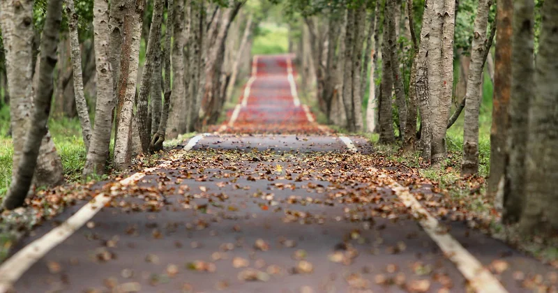 La feuille de route en 4 étapes